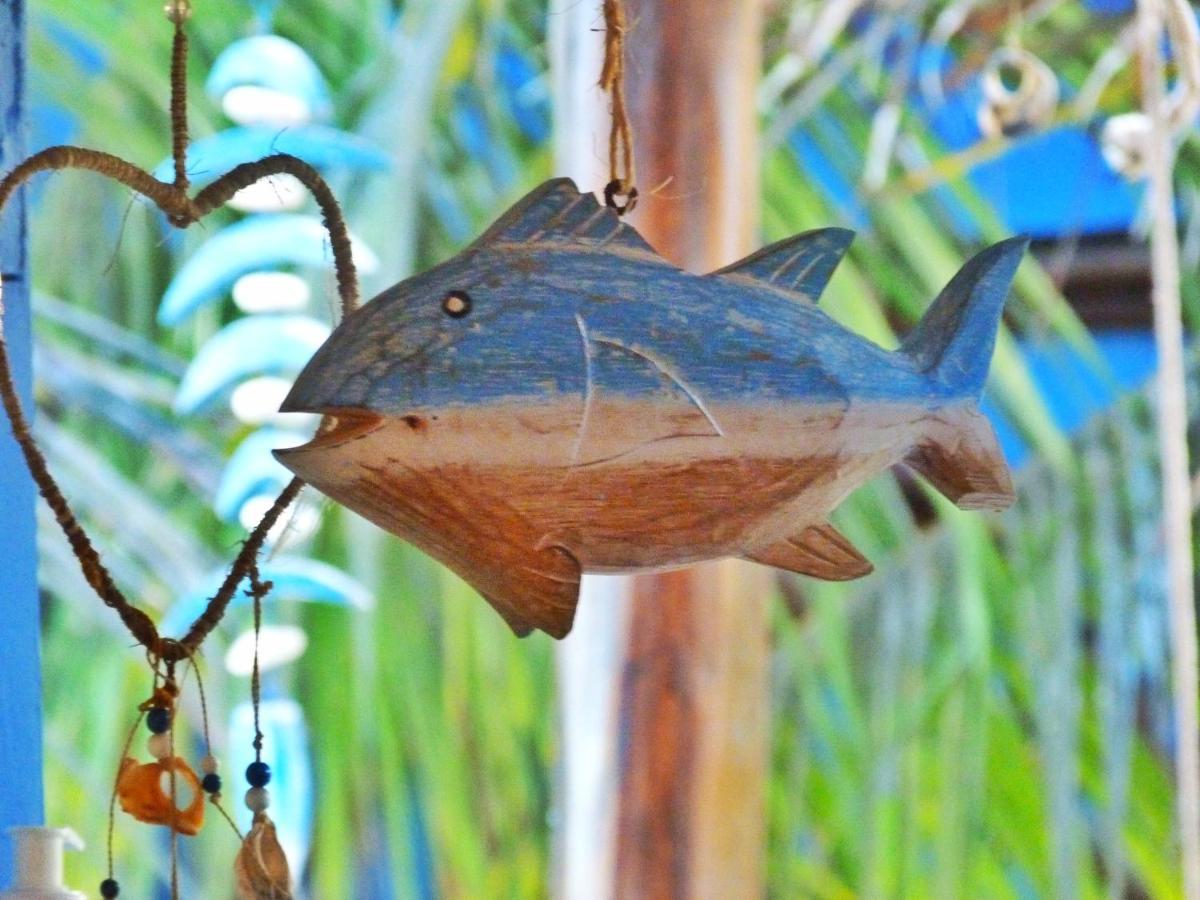 לואיס קורייה Pousada Casa Azul Do Piaui מראה חיצוני תמונה