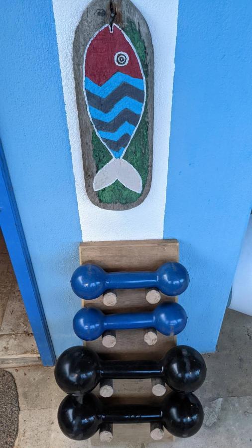 לואיס קורייה Pousada Casa Azul Do Piaui מראה חיצוני תמונה